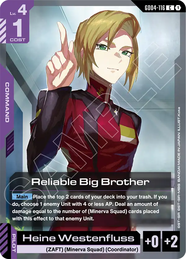 GD04-116 - Reliable Big Brother