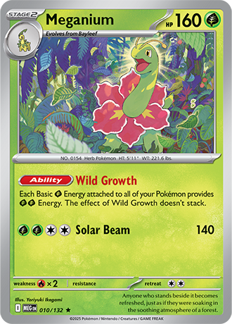 010/132 - Meganium