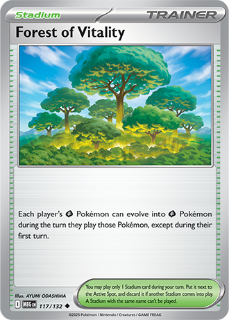 117/132 - Forest Vitality