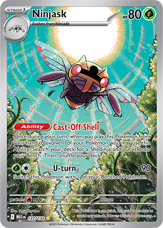 137/132 - Ninjask