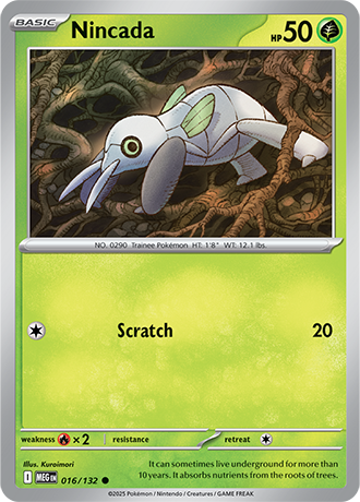 016/132 - Nincada