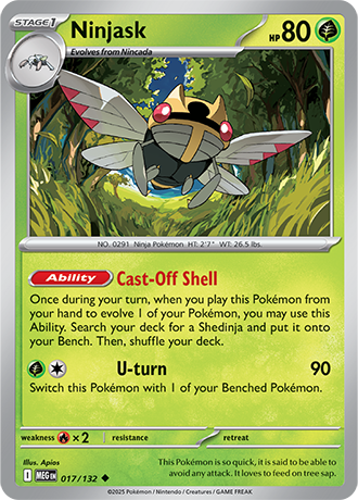 017/132 - Ninjask