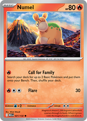 021/132 - Numel