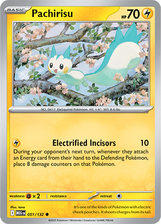 051/132 - Pachirisu