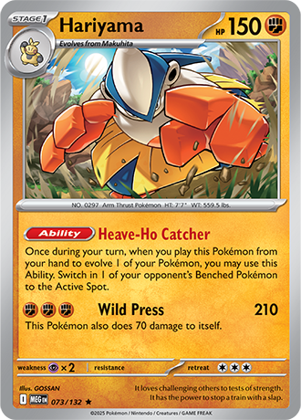 073/132 - Hariyama