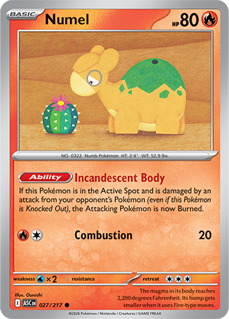 027/217 - Numel