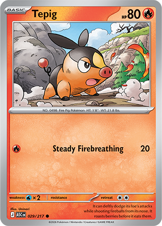 029/217 - Tepig