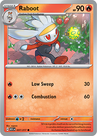 037/217 - Raboot