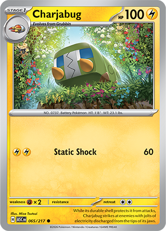 065/217 - Charjabug