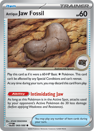068/088 - Antique Jaw Fossil