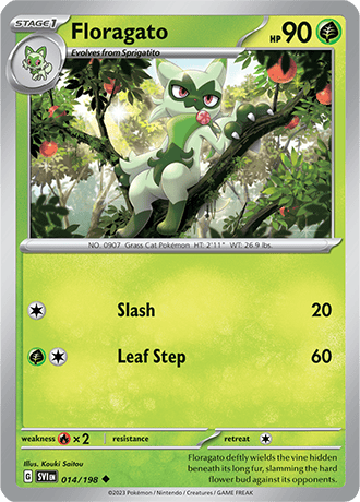 014/198 - Floragato