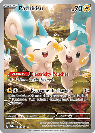208/198 - Pachirisu (Illustration Rare)