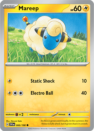 066/198 - Mareep