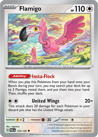 170/193 - Flamigo