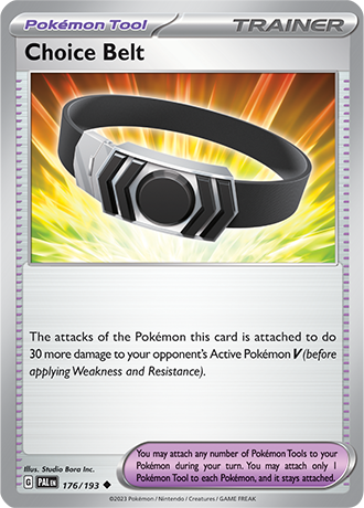 176/193 - Choice Belt