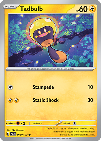 078/193 - Tadbulb