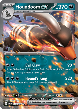 134/197 - Houndoom Ex