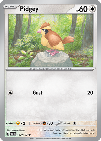 162/197 - Pidgey