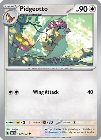 163/197 - Pidgeotto