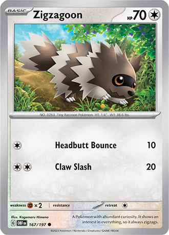 167/197 - Zigzagoon