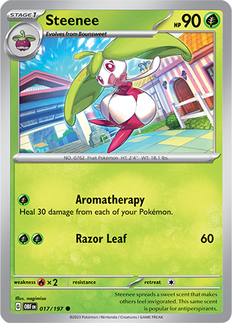 017/197 - Steenee