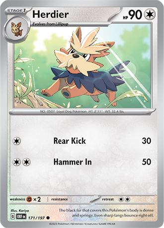 171/197 - Herdier