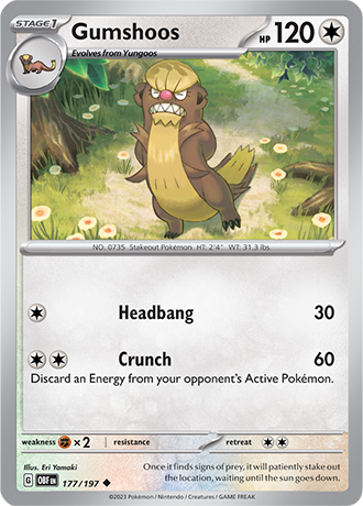 177/197 - Gumshoos