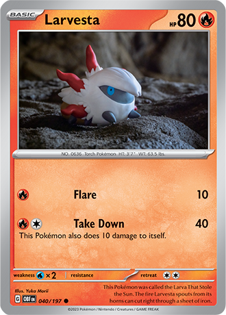 040/197 - Larvesta