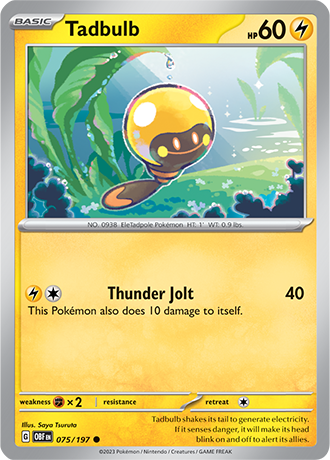 075/197 - Tadbulb