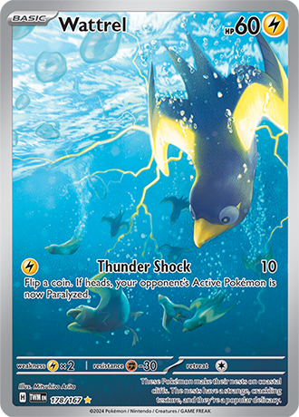 178/167 - Wattrel (Illustration Rare)