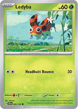 002/142 - Ledyba