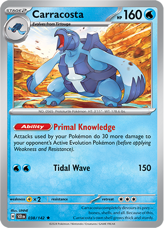 038/142 - Carracosta