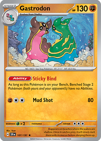 107/191 - Gastrodon