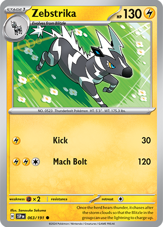 063/191 - Zebstrika