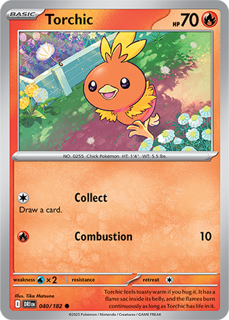 040/182 - Torchic