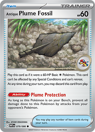 079/086 - Antique Plume Fossil
