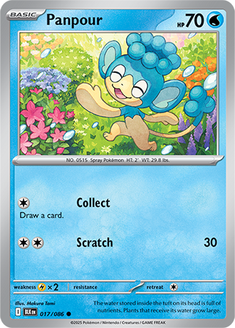 017/086 - Panpour