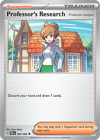 085/086 - Professor's Research