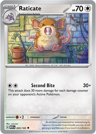 020/165 - Raticate