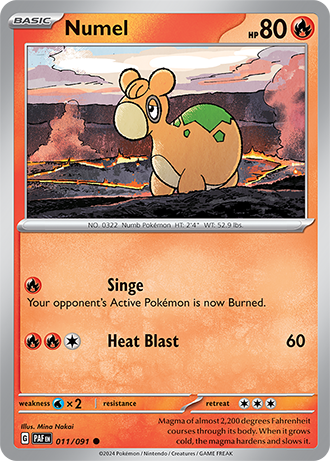 011/091 - Numel