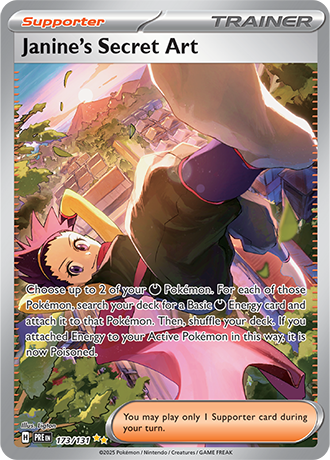 173/131 - Janine's Secret Art (Special Illustration Rare)
