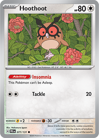 077/131 - Hoothoot